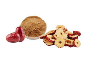 Zizyphi Fructus Extract