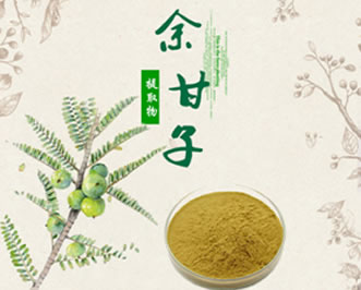 余甘子提取物