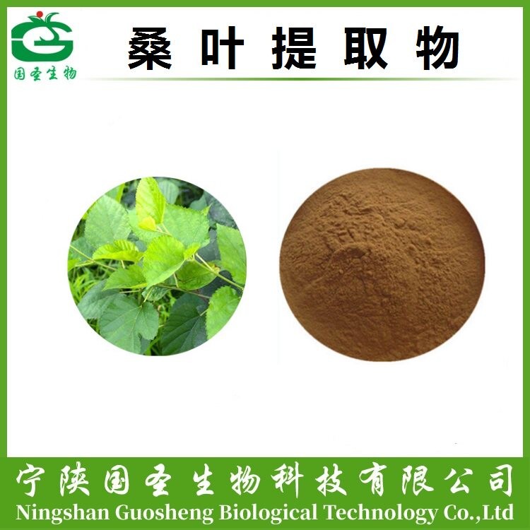 桑叶提取物