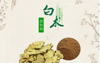 白术.jpg